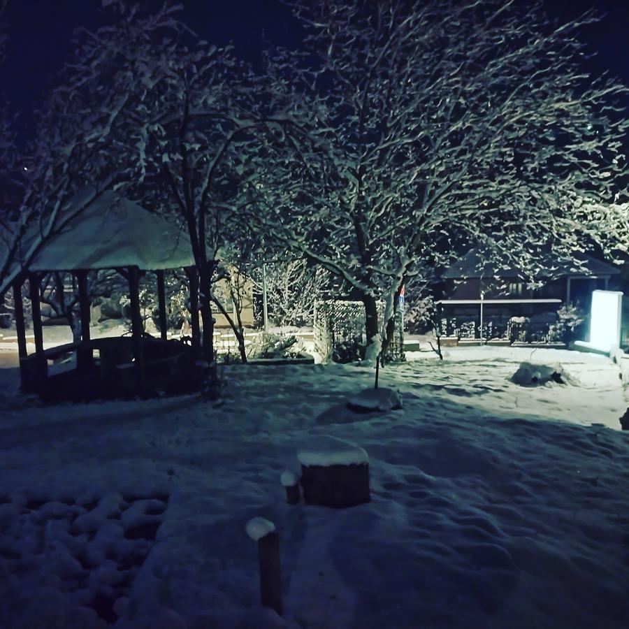 Apartmani Jankovic Vrdnik Buitenkant foto