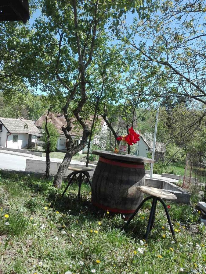 Apartmani Jankovic Vrdnik Buitenkant foto