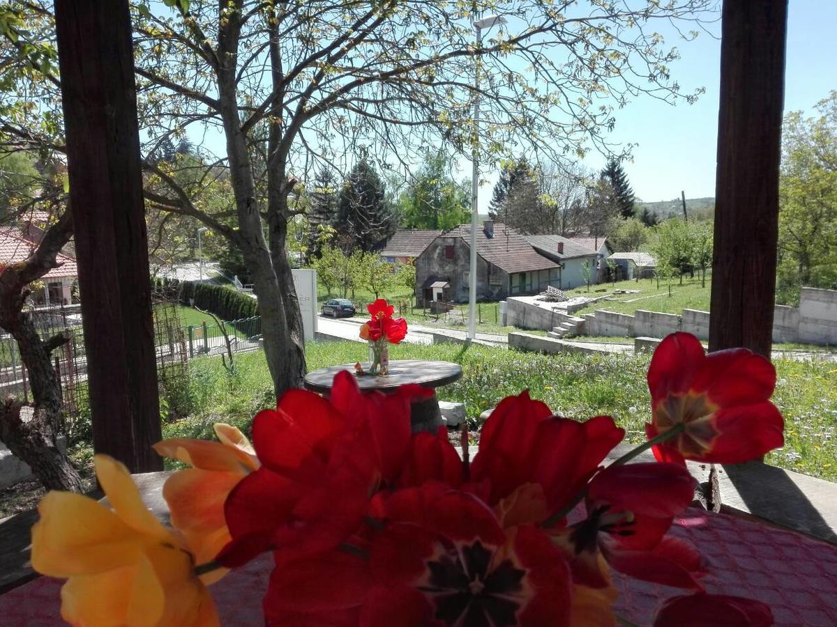 Apartmani Jankovic Vrdnik Buitenkant foto