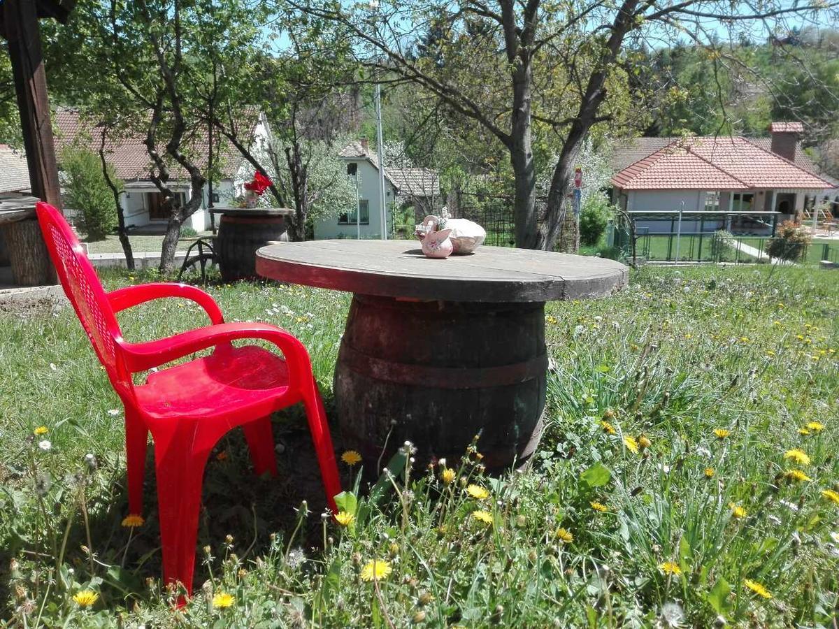 Apartmani Jankovic Vrdnik Buitenkant foto