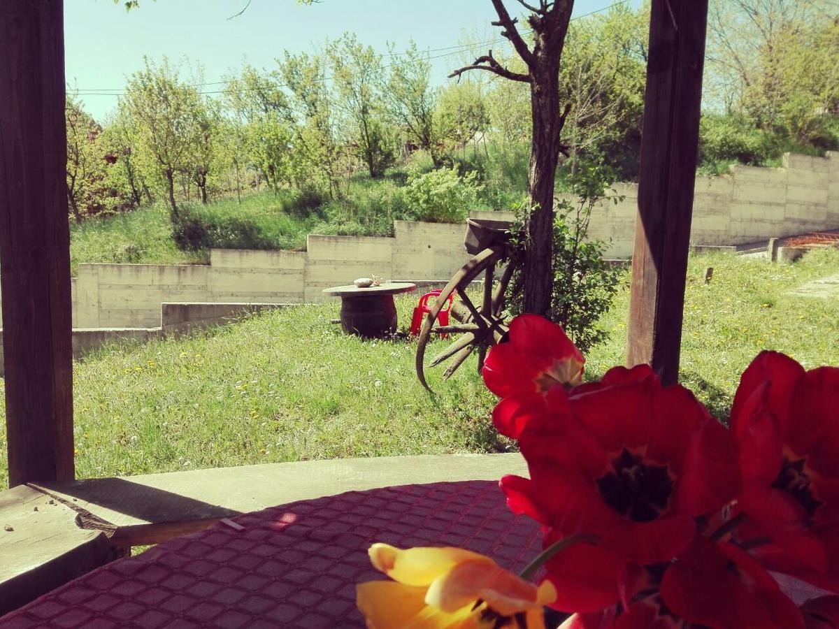 Apartmani Jankovic Vrdnik Buitenkant foto