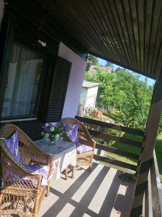 Apartmani Jankovic Vrdnik Buitenkant foto