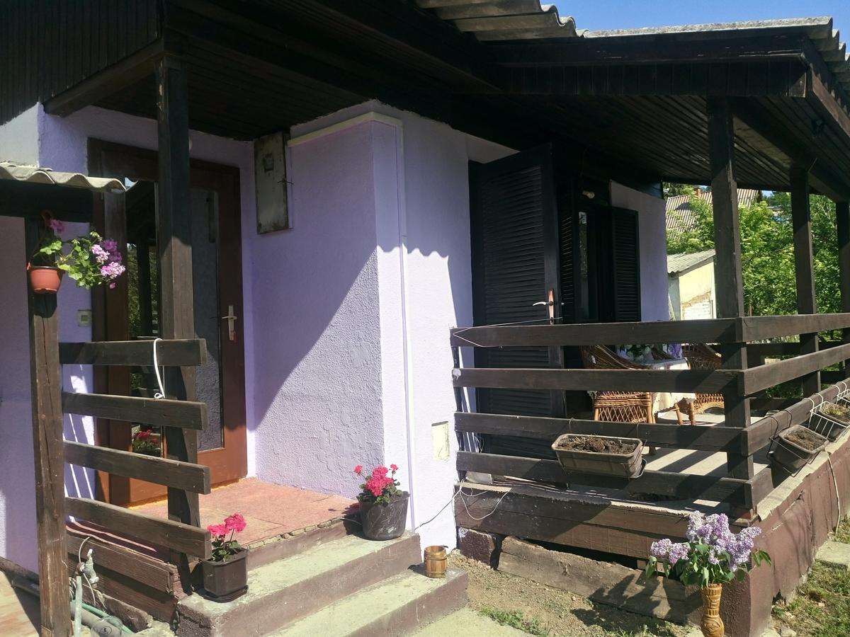 Apartmani Jankovic Vrdnik Buitenkant foto