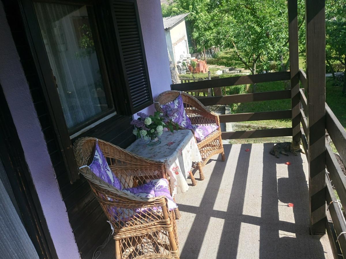 Apartmani Jankovic Vrdnik Buitenkant foto