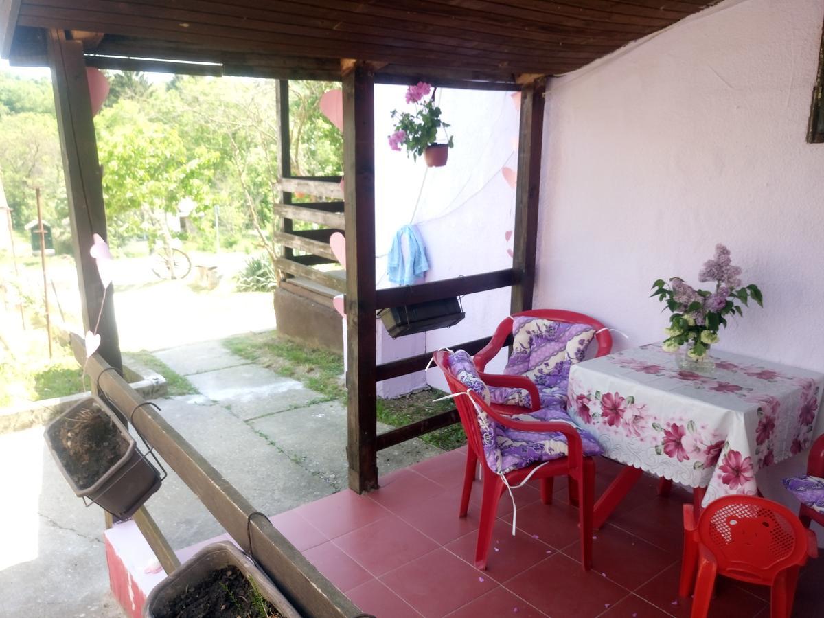 Apartmani Jankovic Vrdnik Buitenkant foto