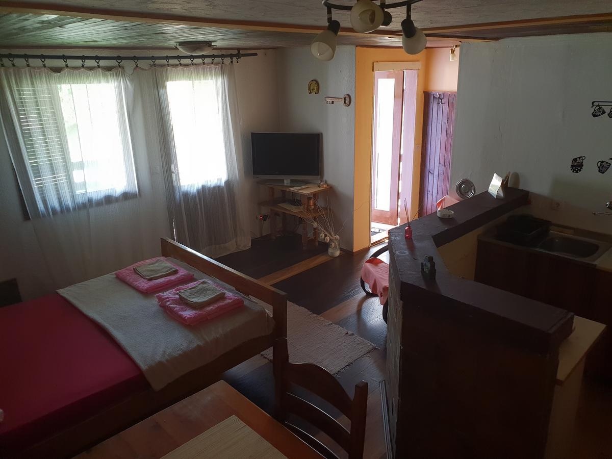 Apartmani Jankovic Vrdnik Buitenkant foto