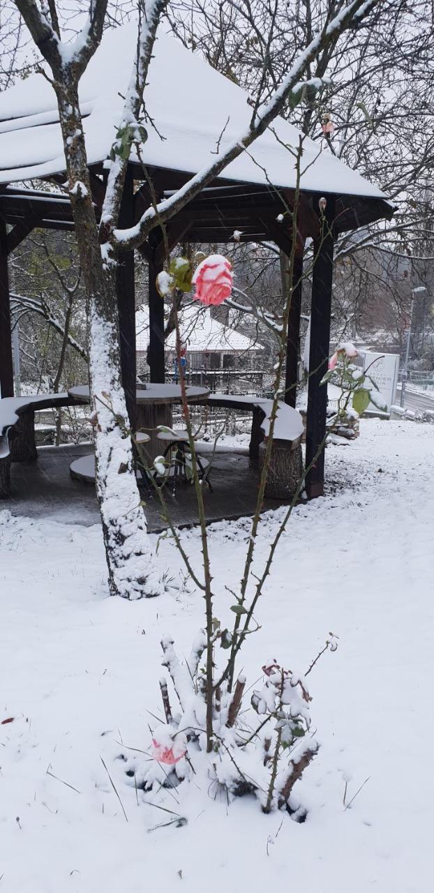 Apartmani Jankovic Vrdnik Buitenkant foto