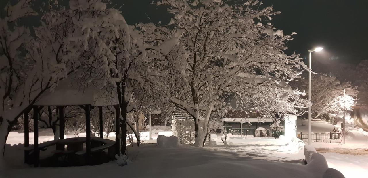 Apartmani Jankovic Vrdnik Buitenkant foto
