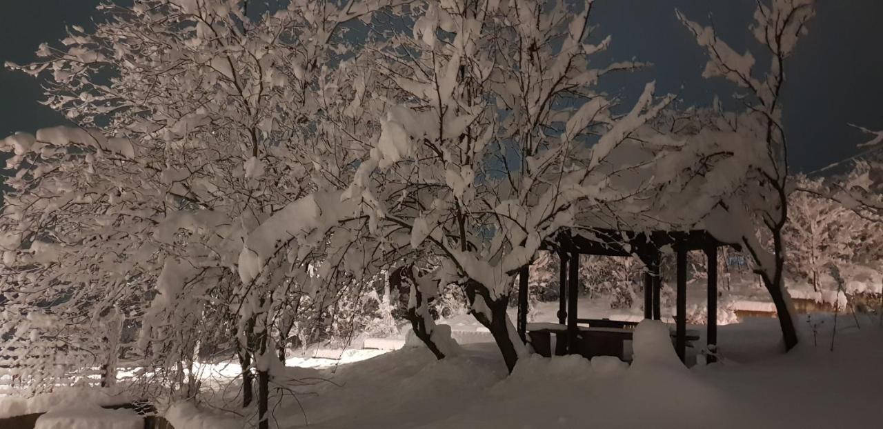 Apartmani Jankovic Vrdnik Buitenkant foto