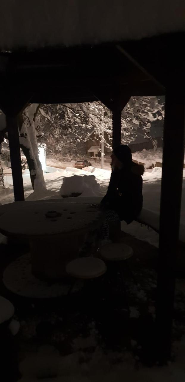 Apartmani Jankovic Vrdnik Buitenkant foto
