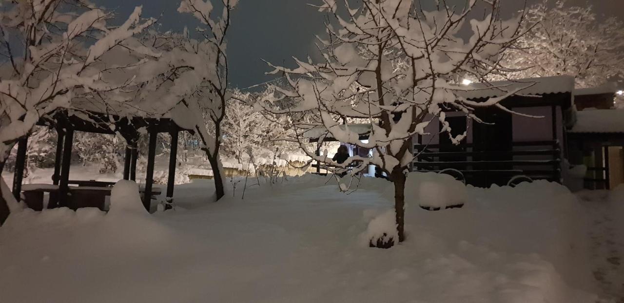 Apartmani Jankovic Vrdnik Buitenkant foto